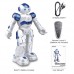 Interactive Intelligent Robot 